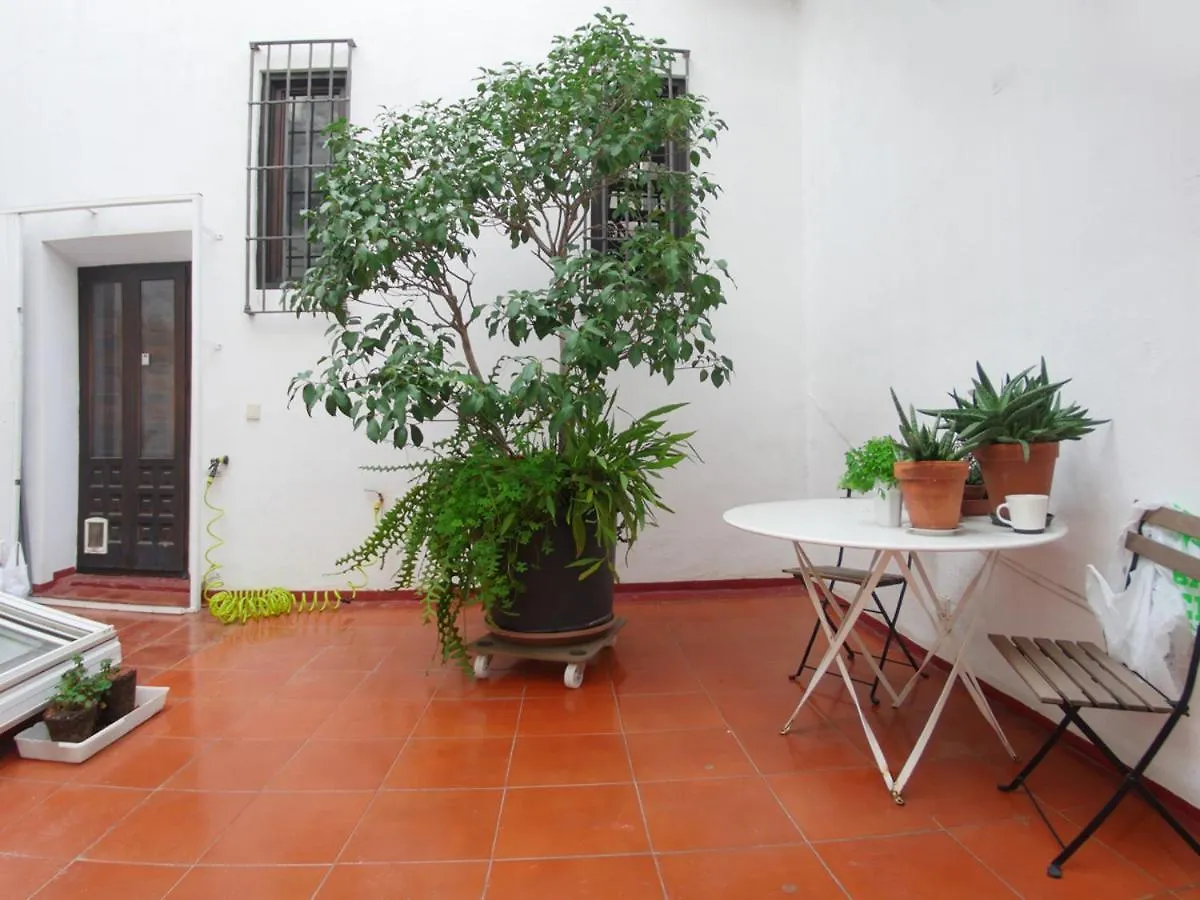 Vip House Rentals, Entire Apartment In Malaga Old Town